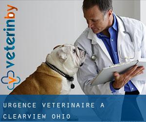 Urgence vétérinaire à Clearview (Ohio)
