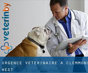 Urgence vétérinaire à Clemmons West