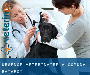 Urgence vétérinaire à Comuna Bătarci