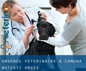 Urgence vétérinaire à Comuna Boţeşti (Argeş)