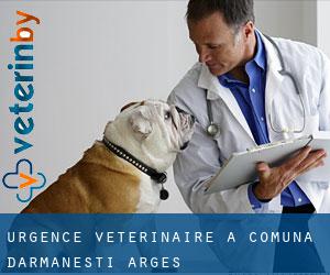 Urgence vétérinaire à Comuna Dărmăneşti (Argeş)