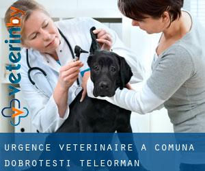 Urgence vétérinaire à Comuna Dobroteşti (Teleorman)