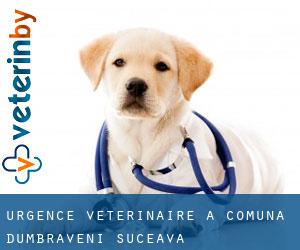 Urgence vétérinaire à Comuna Dumbrăveni (Suceava)