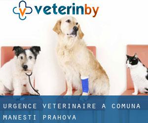 Urgence vétérinaire à Comuna Măneşti (Prahova)