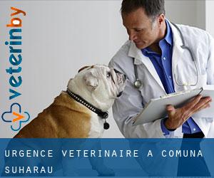 Urgence vétérinaire à Comuna Suharău
