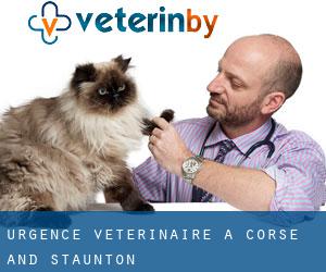 Urgence vétérinaire à Corse and Staunton