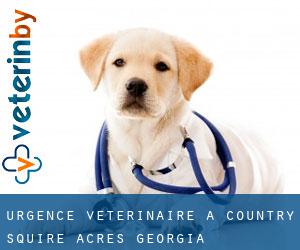 Urgence vétérinaire à Country Squire Acres (Georgia)