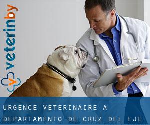 Urgence vétérinaire à Departamento de Cruz del Eje