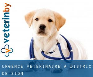 Urgence vétérinaire à District de Sion