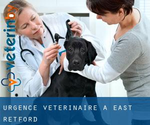 Urgence vétérinaire à East Retford