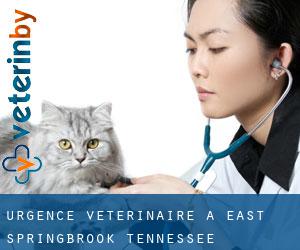 Urgence vétérinaire à East Springbrook (Tennessee)