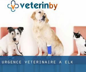 Urgence vétérinaire à Elk