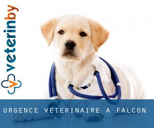Urgence vétérinaire à Falcón Urgence vétérinaire à Falcón