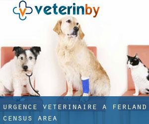 Urgence vétérinaire à Ferland (census area)