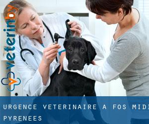 Urgence vétérinaire à Fos (Midi-Pyrénées)