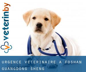Urgence vétérinaire à Foshan (Guangdong Sheng) Urgence vétérinaire à Foshan (Guangdong Sheng)