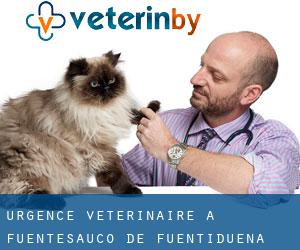 Urgence vétérinaire à Fuentesaúco de Fuentidueña