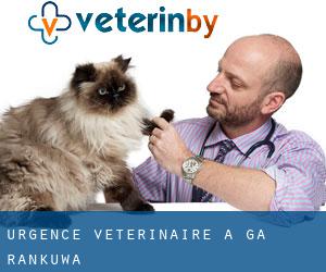 Urgence vétérinaire à Ga-Rankuwa