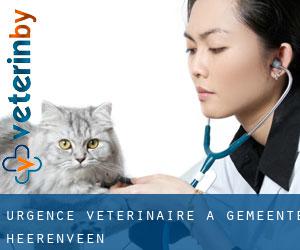 Urgence vétérinaire à Gemeente Heerenveen