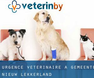 Urgence vétérinaire à Gemeente Nieuw-Lekkerland