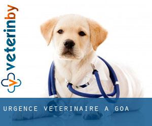 Urgence vétérinaire à Goa Urgence vétérinaire à Goa