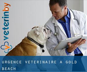 Urgence vétérinaire à Gold Beach