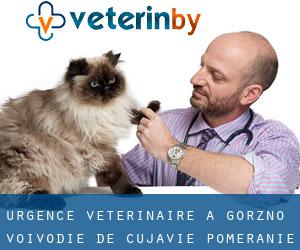 Urgence vétérinaire à Górzno (Voïvodie de Cujavie-Poméranie)