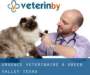 Urgence vétérinaire à Green Valley (Texas)