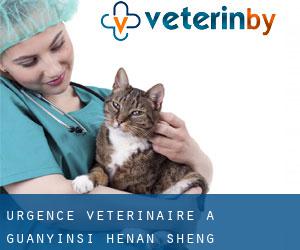 Urgence vétérinaire à Guanyinsi (Henan Sheng)