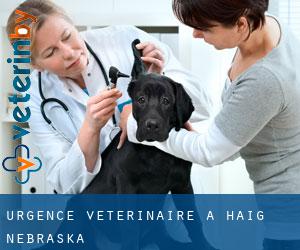 Urgence vétérinaire à Haig (Nebraska)