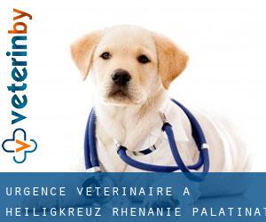 Urgence vétérinaire à Heiligkreuz (Rhénanie-Palatinat)