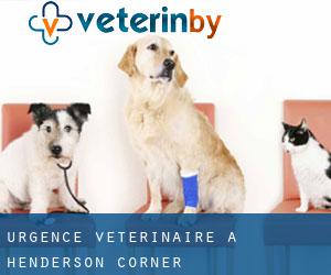 Urgence vétérinaire à Henderson Corner