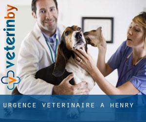 Urgence vétérinaire à Henry