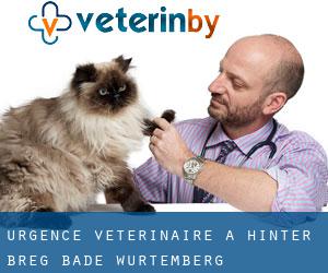 Urgence vétérinaire à Hinter Breg (Bade-Wurtemberg)