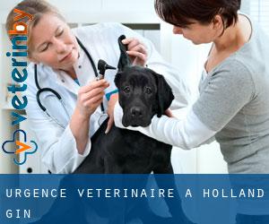 Urgence vétérinaire à Holland Gin