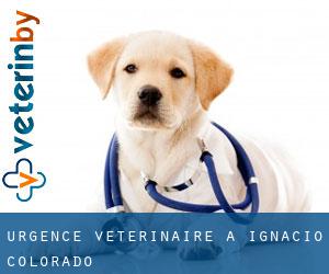 Urgence vétérinaire à Ignacio (Colorado)