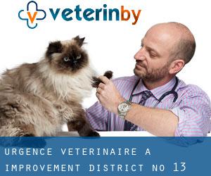 Urgence vétérinaire à Improvement District No. 13 (Alberta)