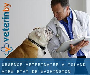 Urgence vétérinaire à Island View (État de Washington)