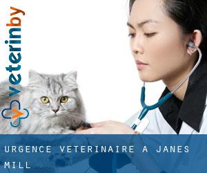 Urgence vétérinaire à Janes Mill
