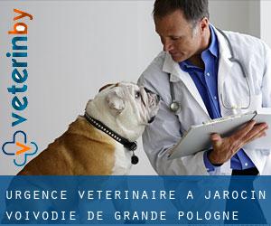 Urgence vétérinaire à Jarocin (Voïvodie de Grande-Pologne)
