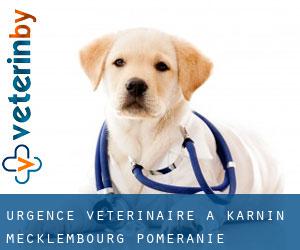 Urgence vétérinaire à Karnin (Mecklembourg-Poméranie)