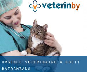 Urgence vétérinaire à Khétt Bătdâmbâng