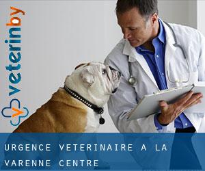 Urgence vétérinaire à La Varenne (Centre)