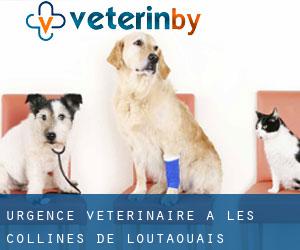 Urgence vétérinaire à Les Collines-de-l'Outaouais