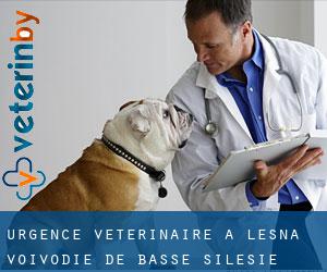 Urgence vétérinaire à Leśna (Voïvodie de Basse-Silésie)