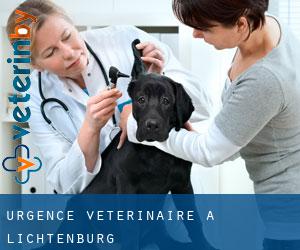Urgence vétérinaire à Lichtenburg