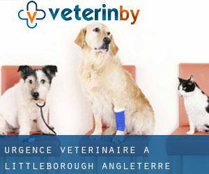 Urgence vétérinaire à Littleborough (Angleterre)