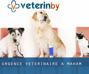 Urgence vétérinaire à Maham
