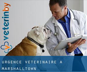 Urgence vétérinaire à Marshalltown