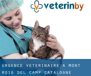 Urgence vétérinaire à Mont-roig del Camp (Catalogne)